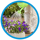 plantas y jardines